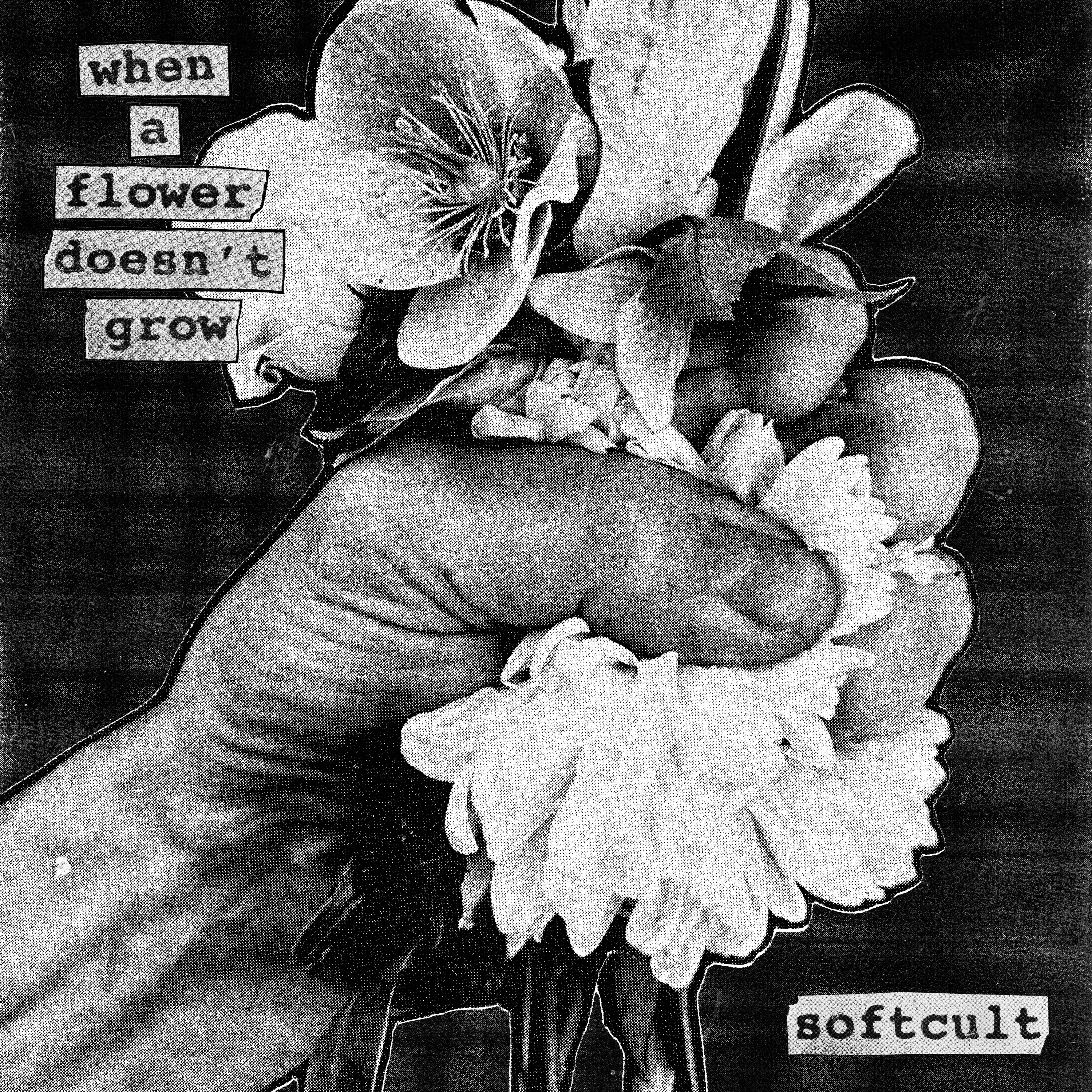 When A Flower Doesn’t Grow