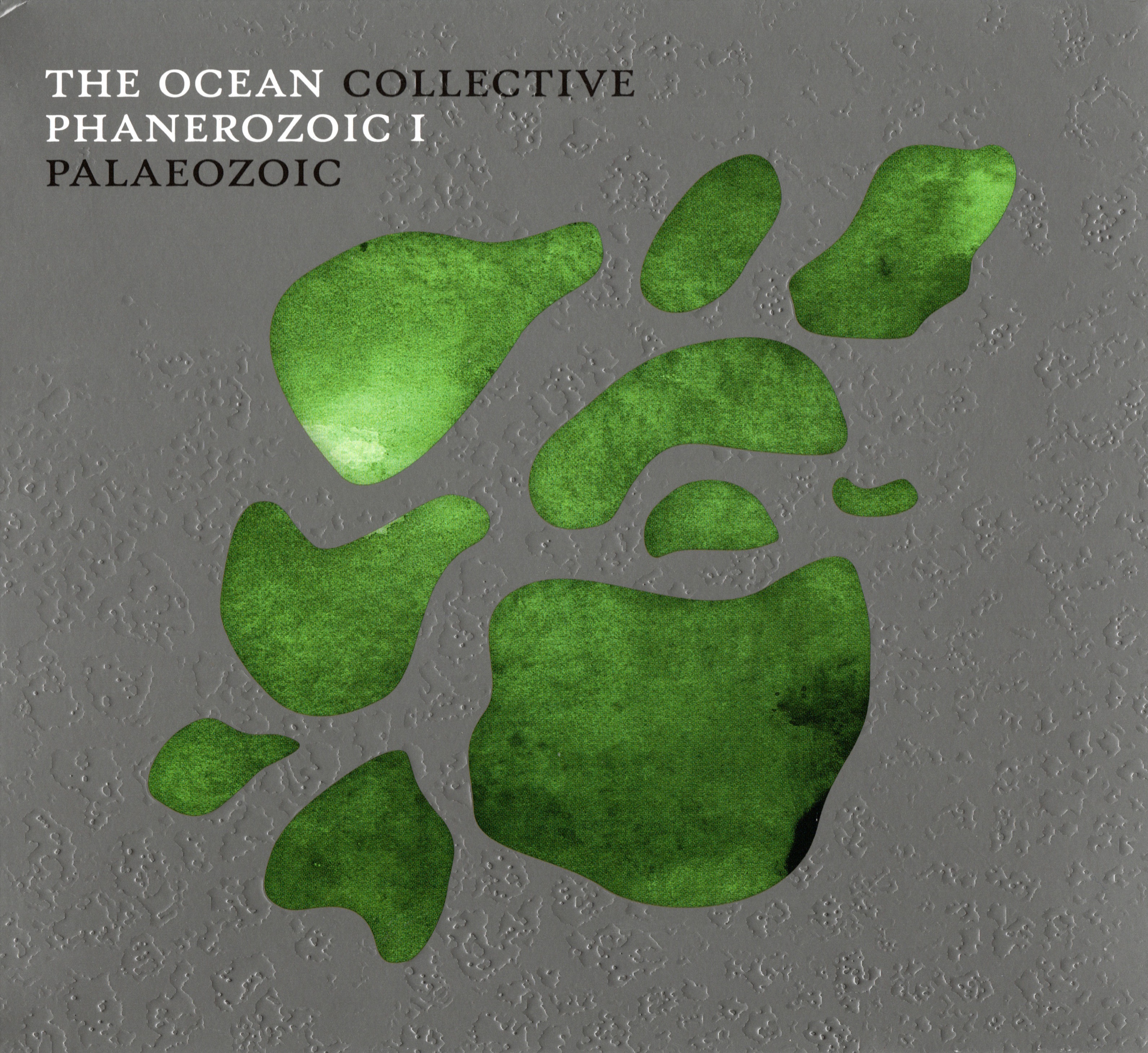 Phanerozoic I: Palaeozoic