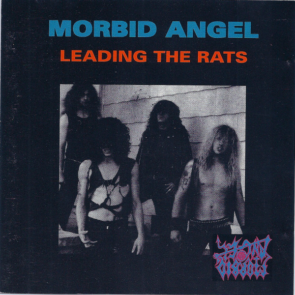 Leading the Rats