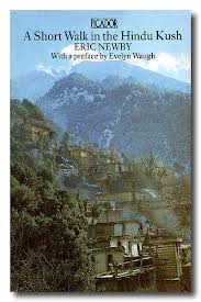 A Short Walk in the Hindu Kush