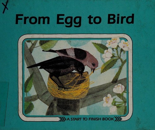 From egg to bird