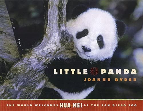 Little Panda