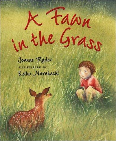 A fawn in the grass