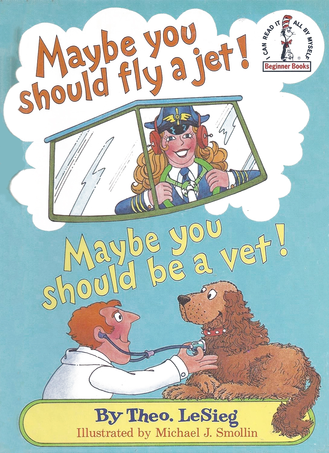Maybe You Should Fly a Jet! Maybe You Should Be a Vet!