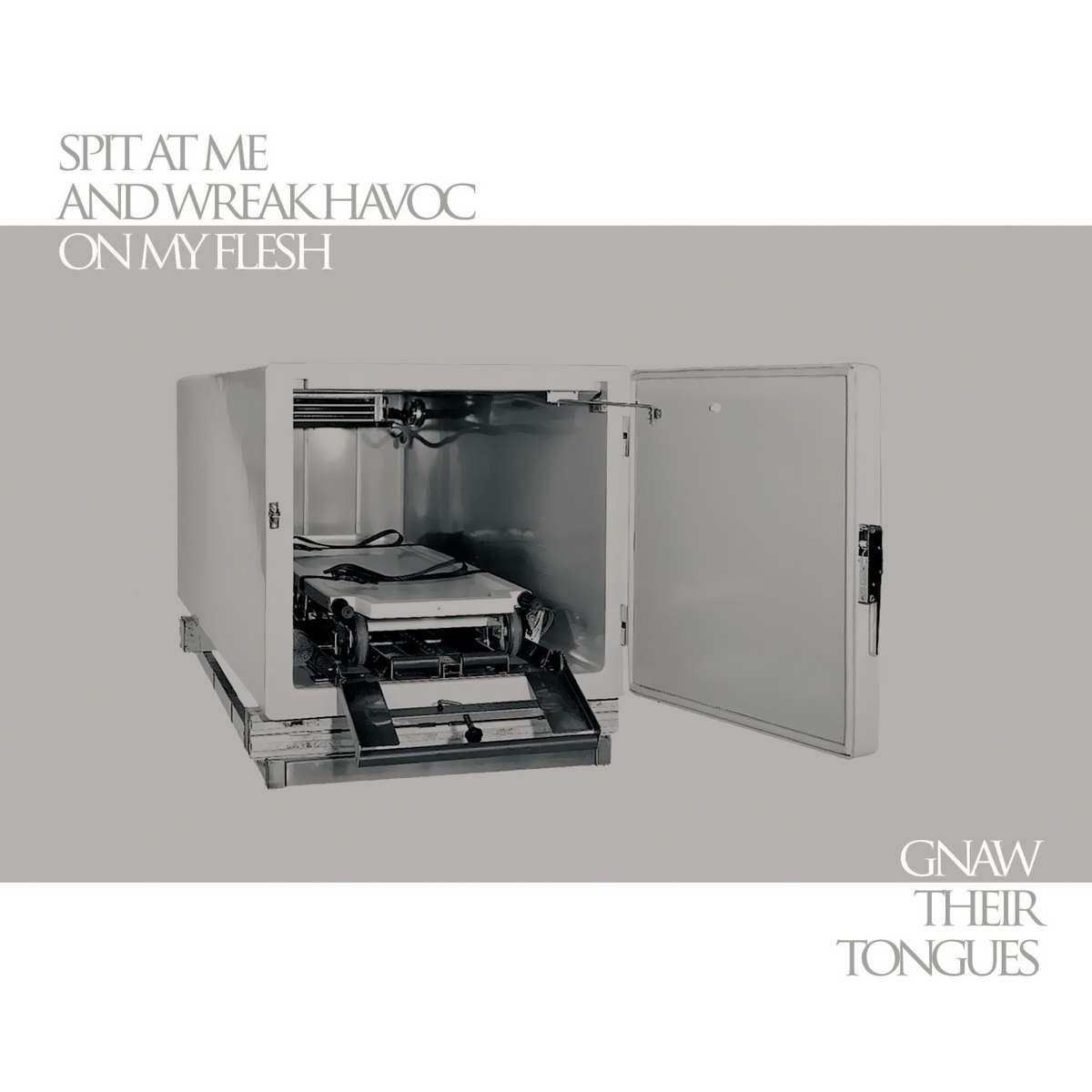 Spit at Me and Wreak Havoc on My Flesh