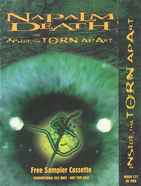 Inside the Torn Apart