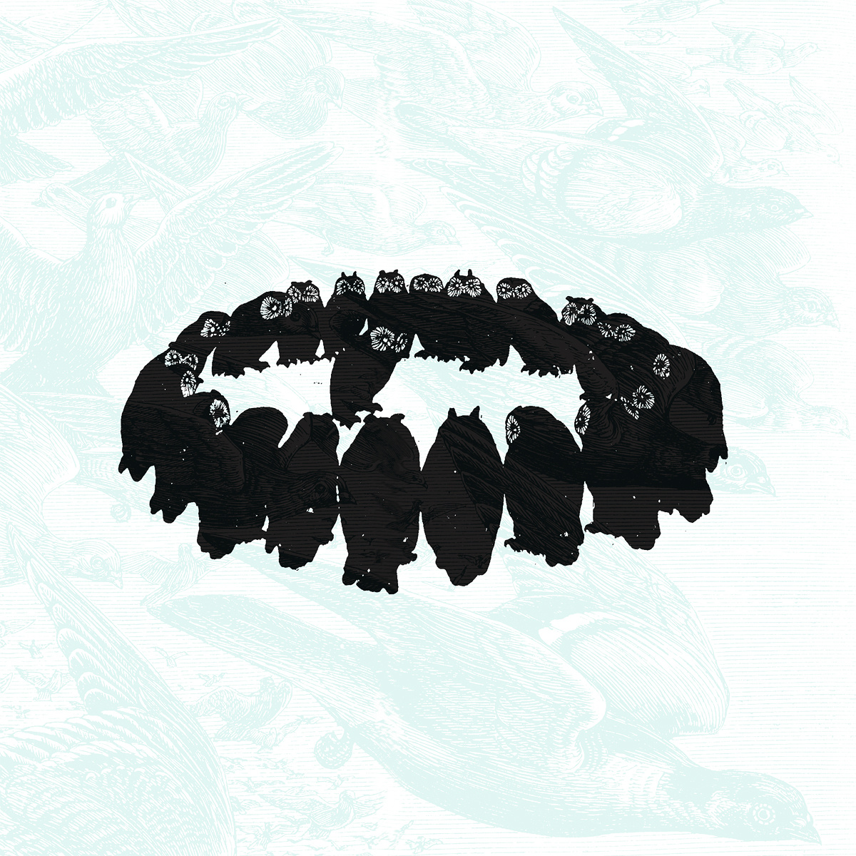 The Archer & the Owle