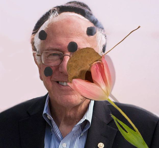 Bon Iver In Iowa E.P.