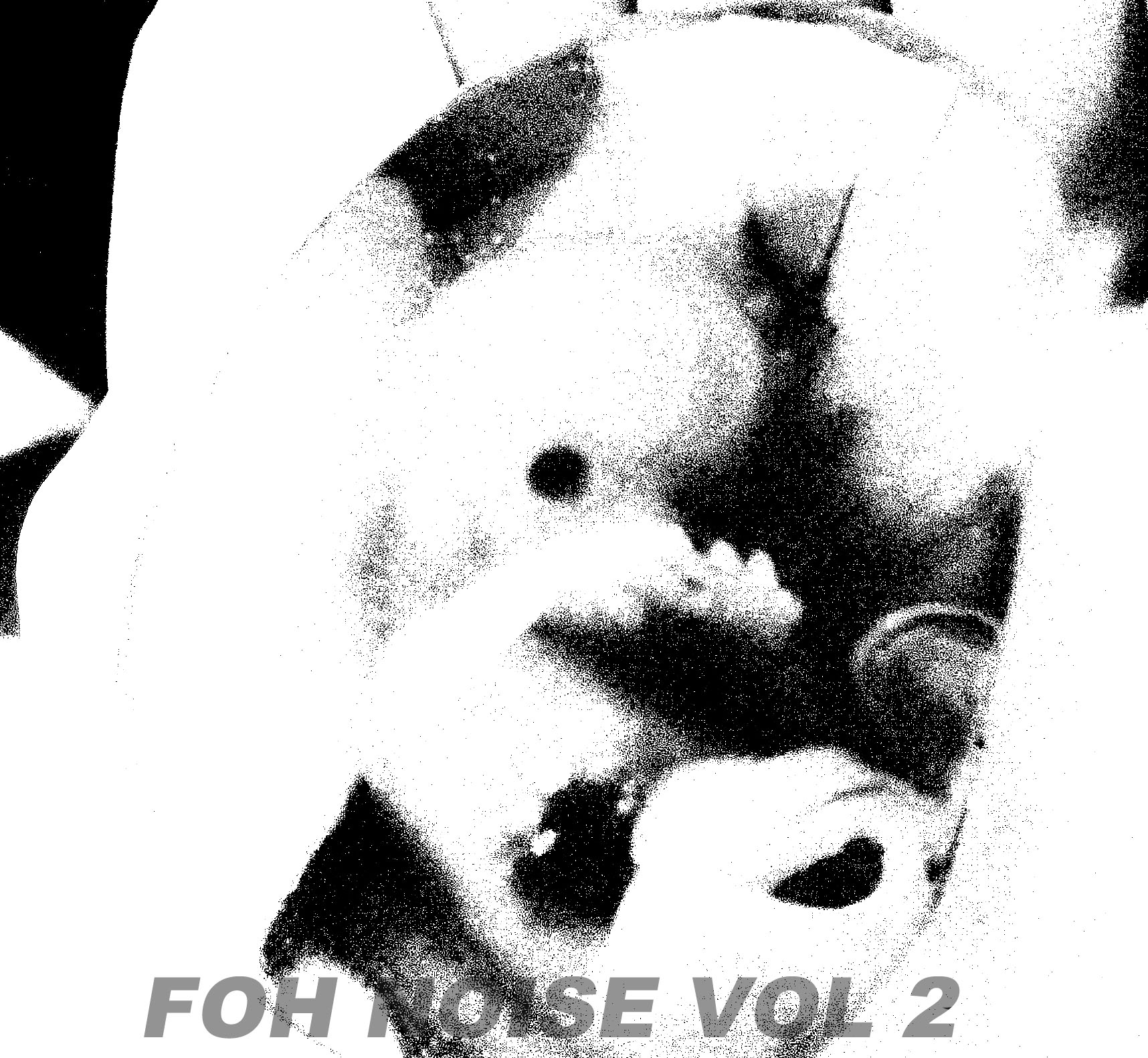 FOH NOISE VOL 2