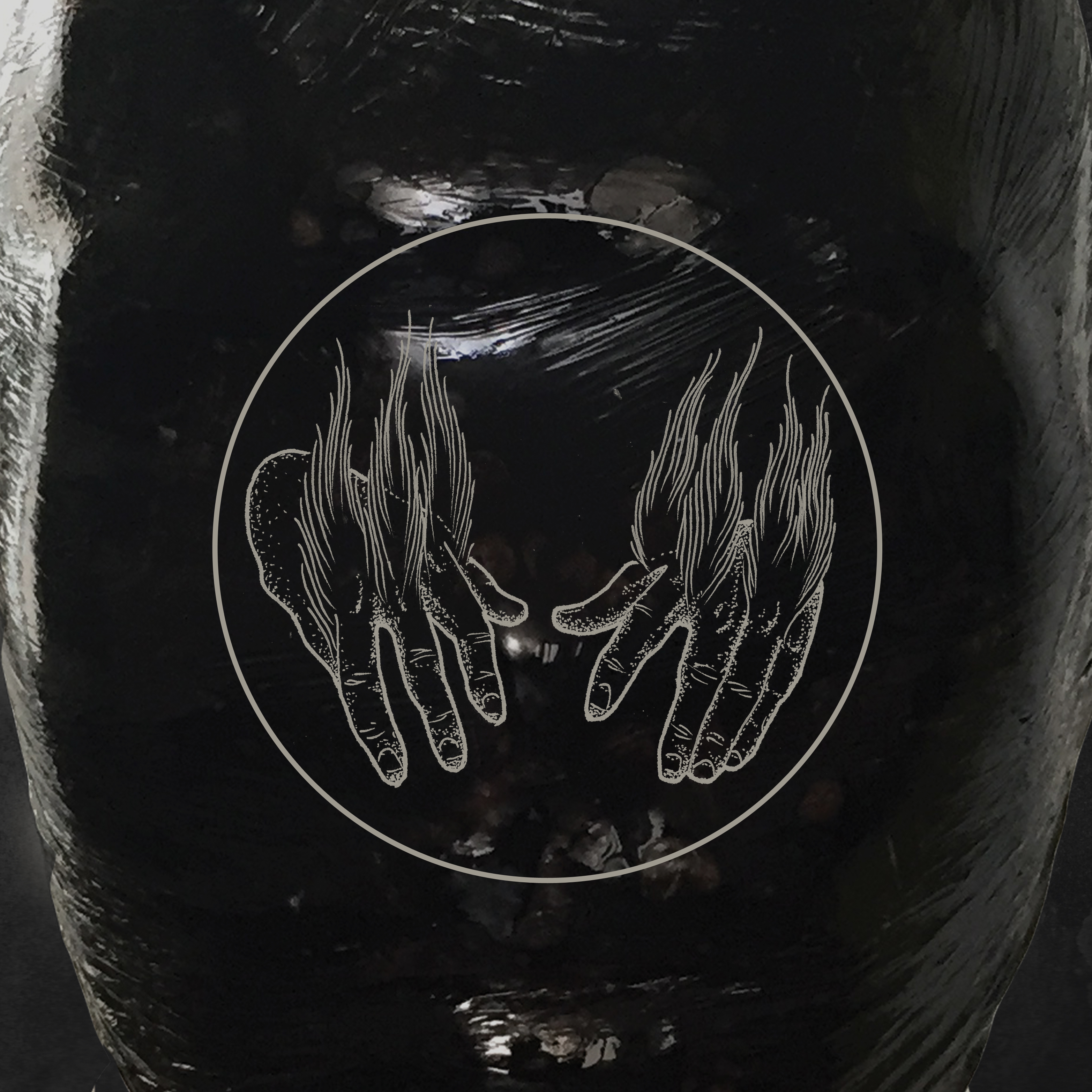 Birds in Row / WAITC