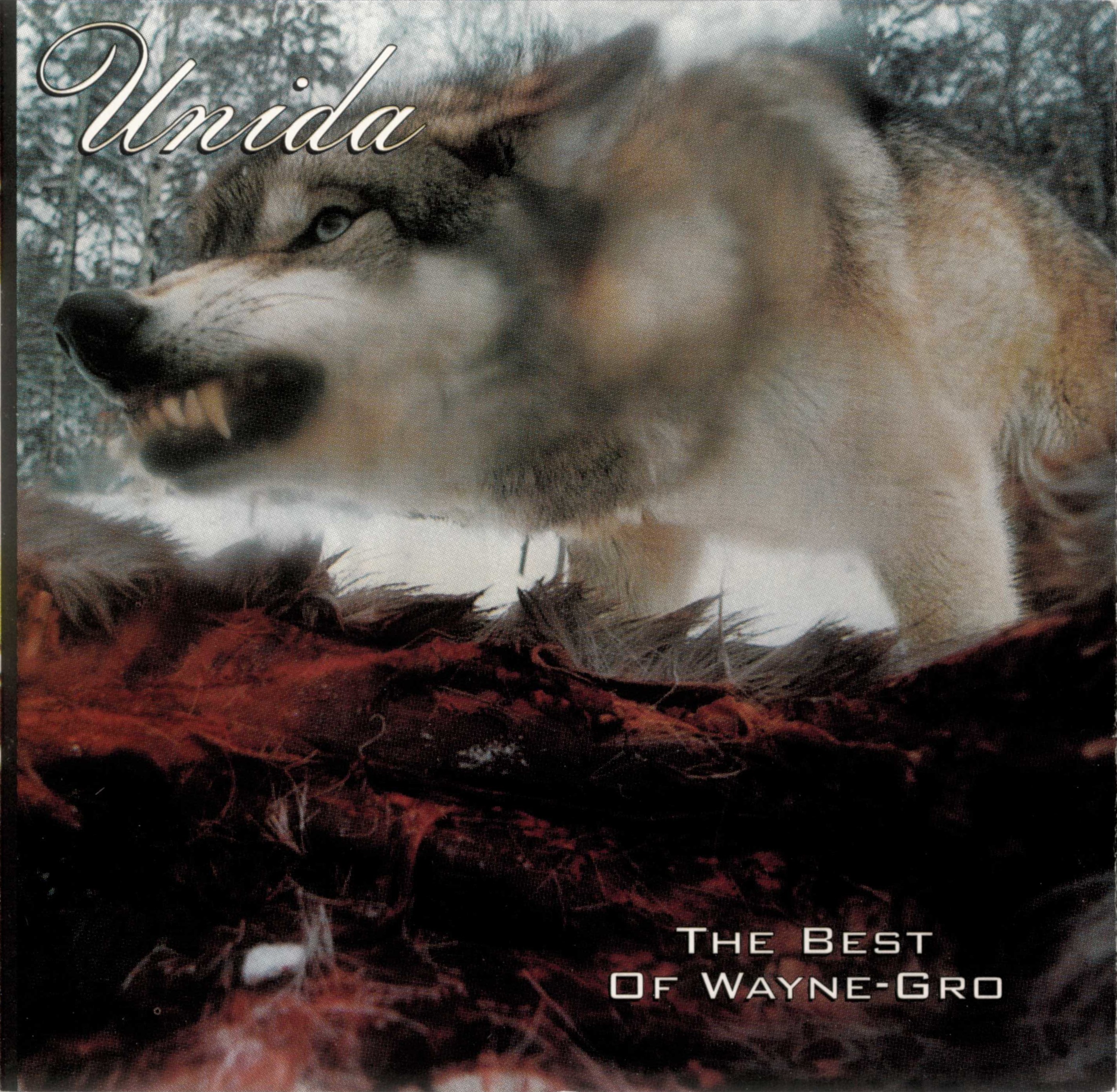 The Best of Wayne‐Gro / Coming Down the Mountain