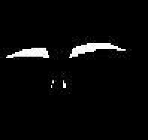 Life Within The Mind