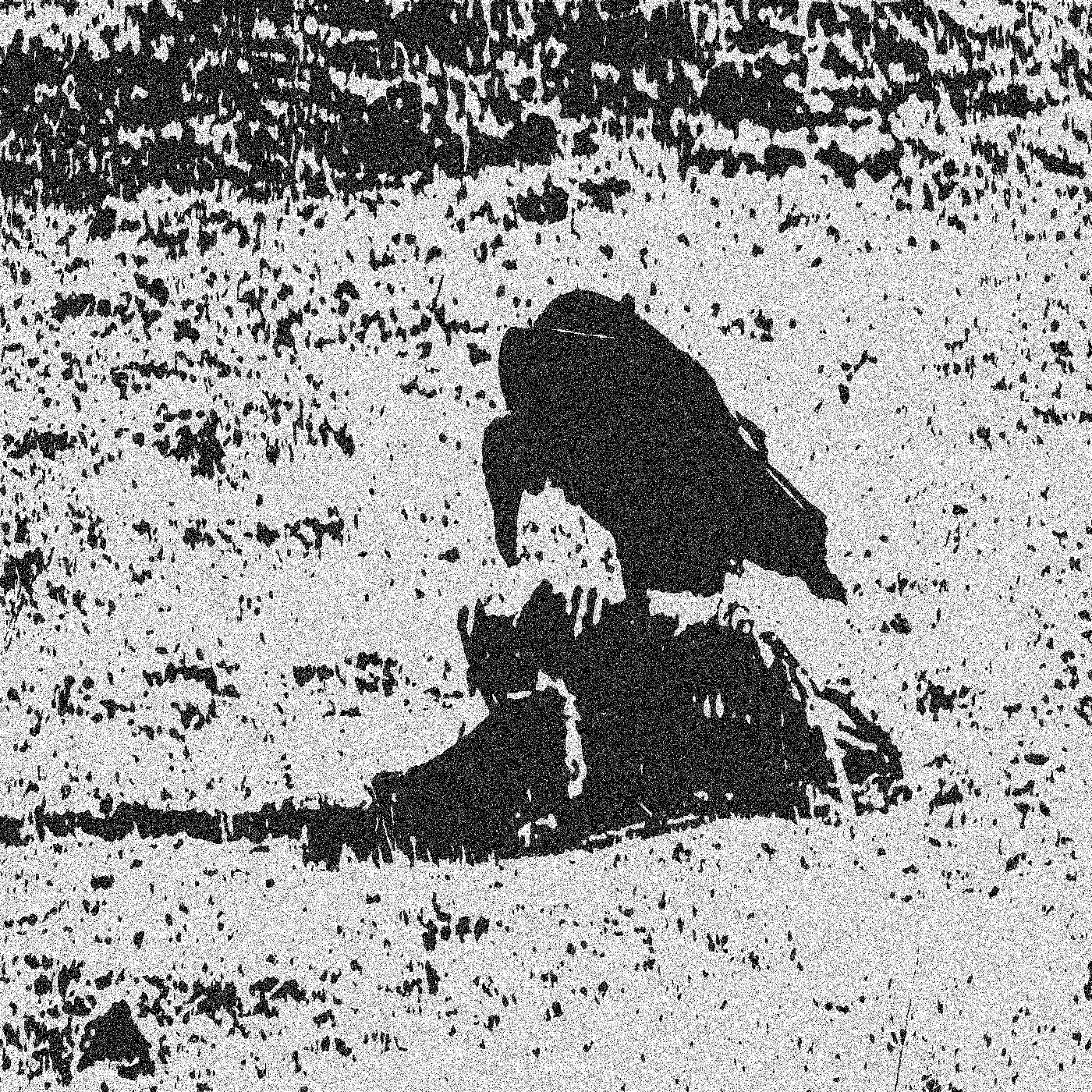 Wallcroft / Ghost of Gardenia