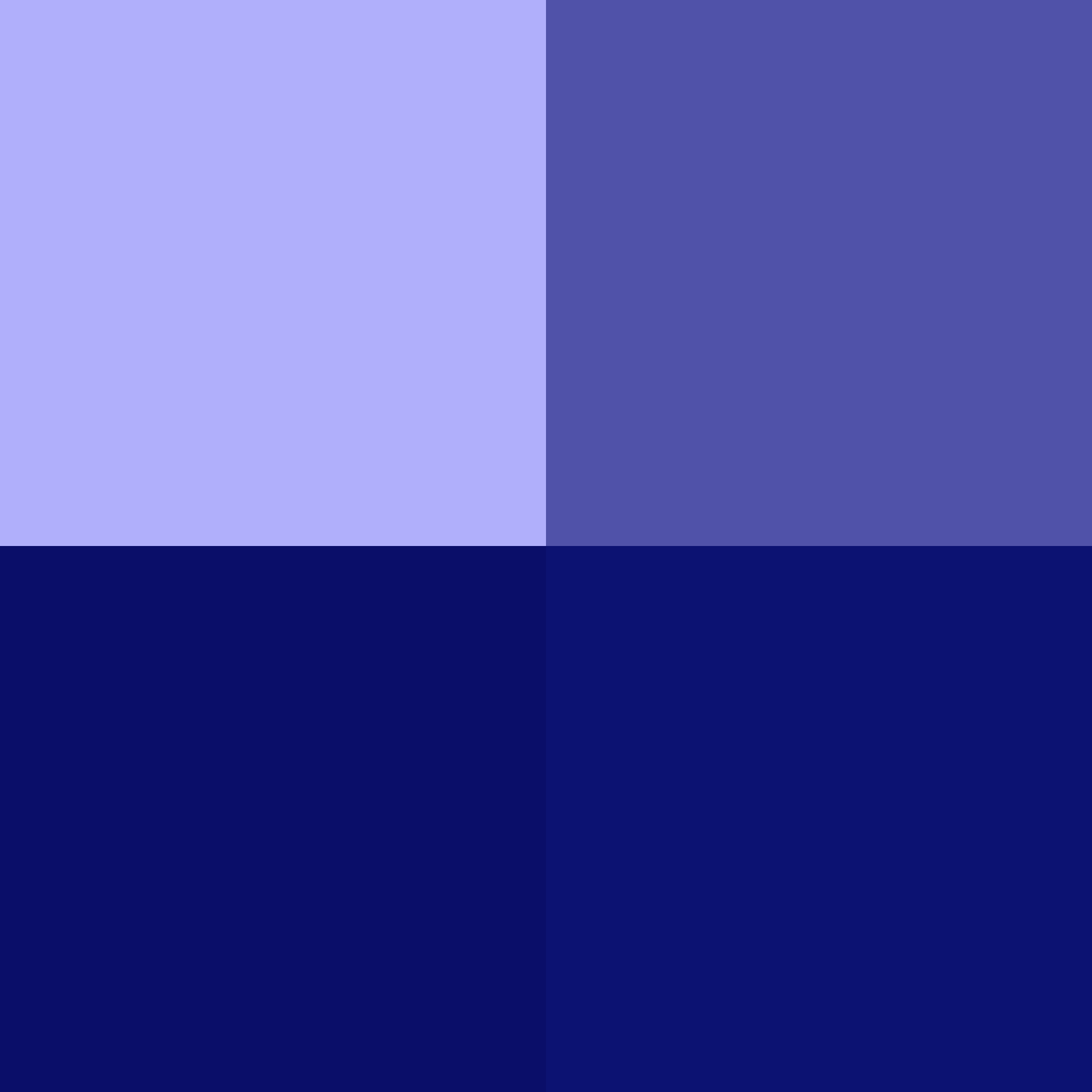 #!/for/birt