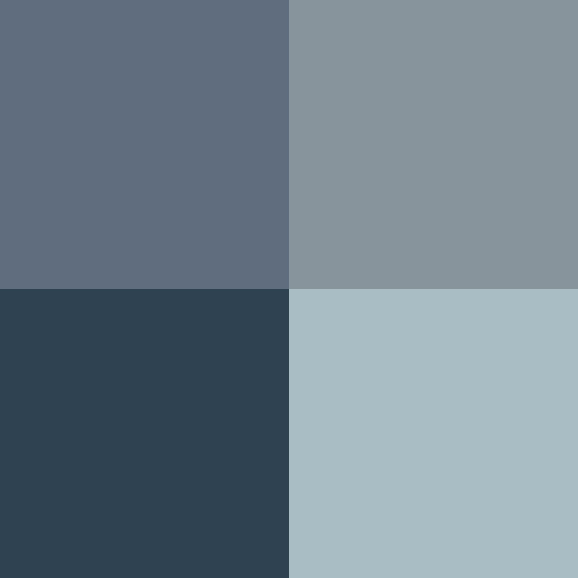#!/for/fall