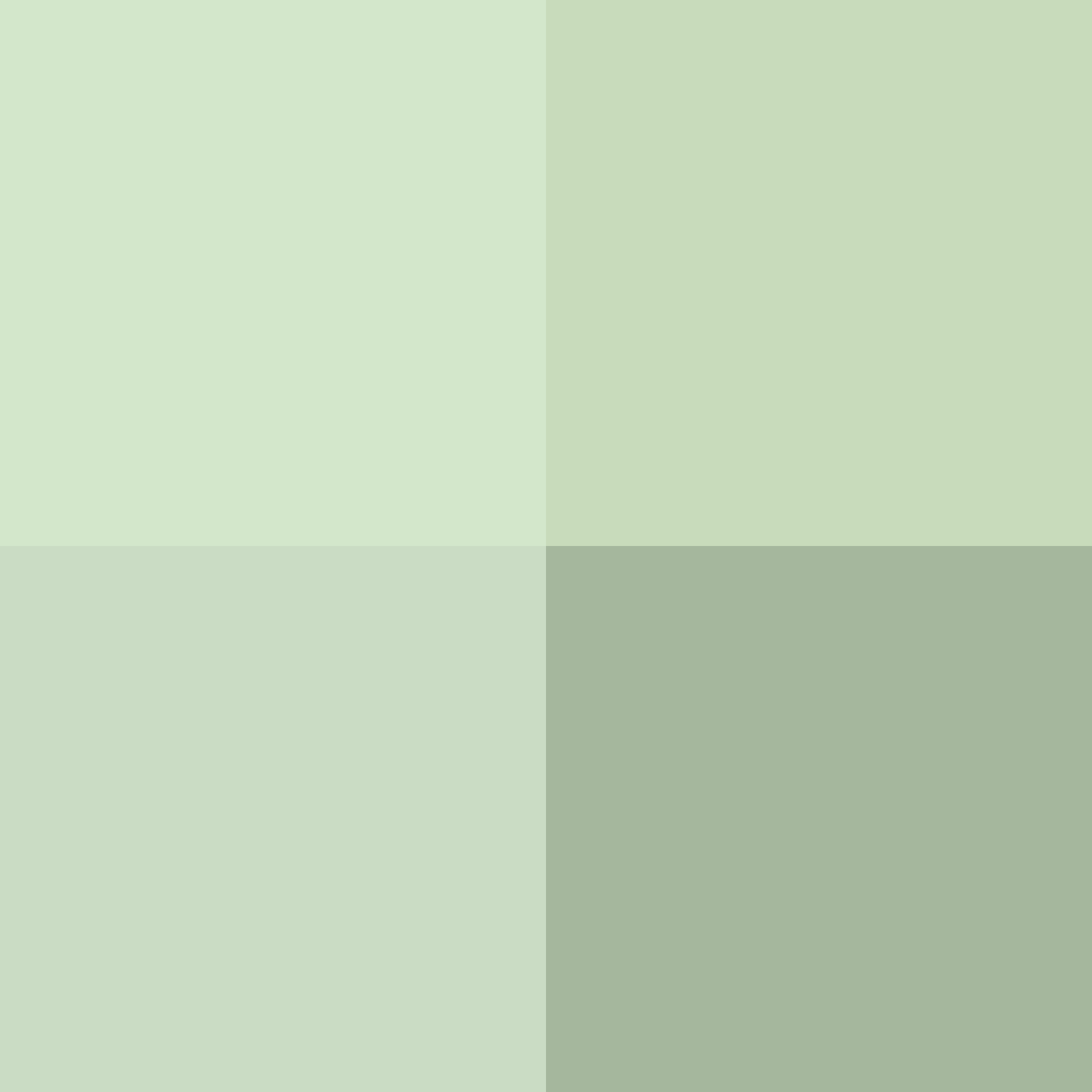 #!/for/frog