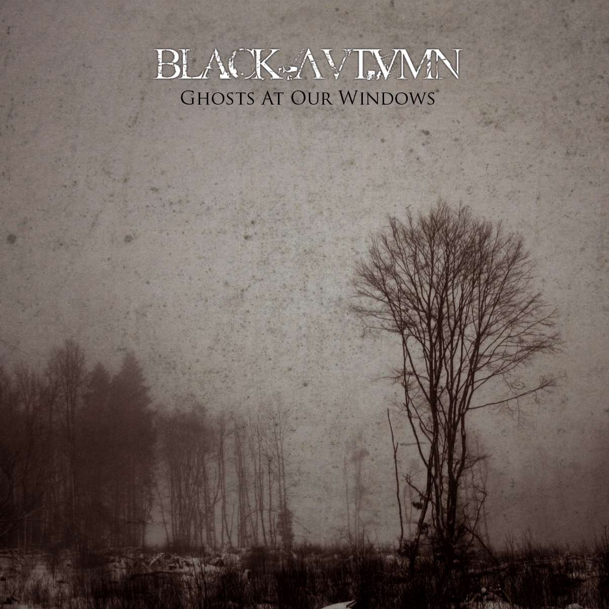 Ghosts at Our Windows