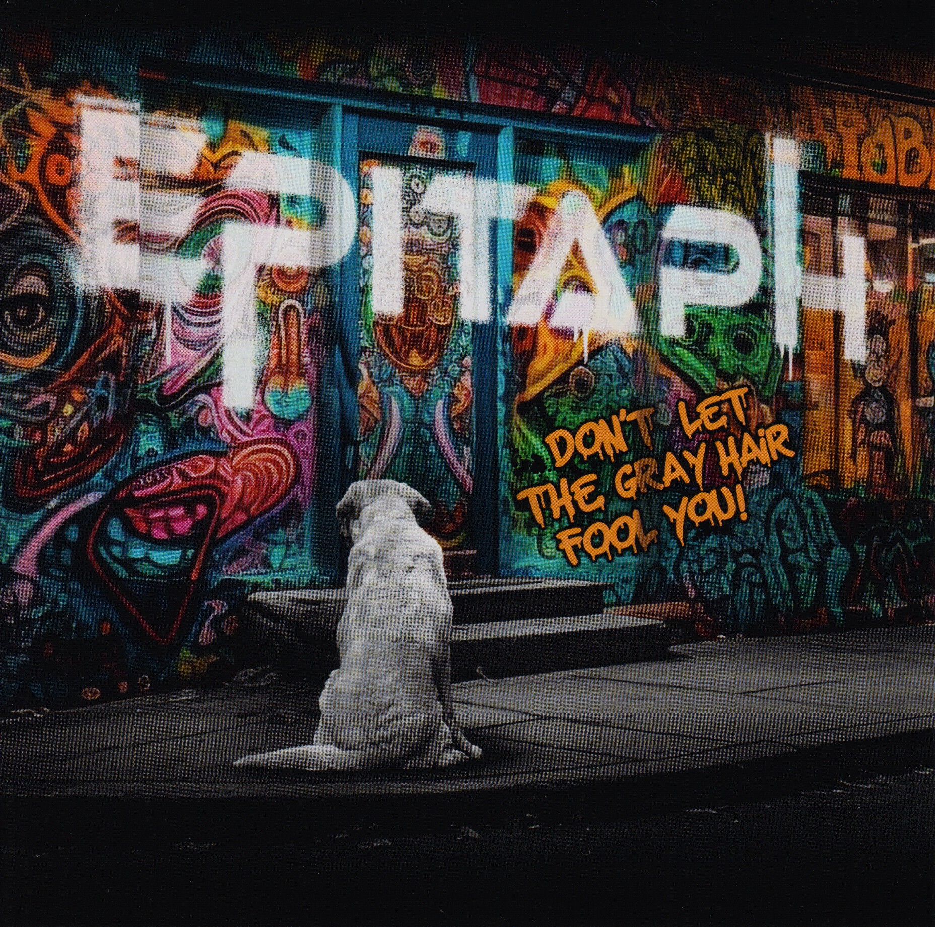 Don't Let the Gray Hair Fool You