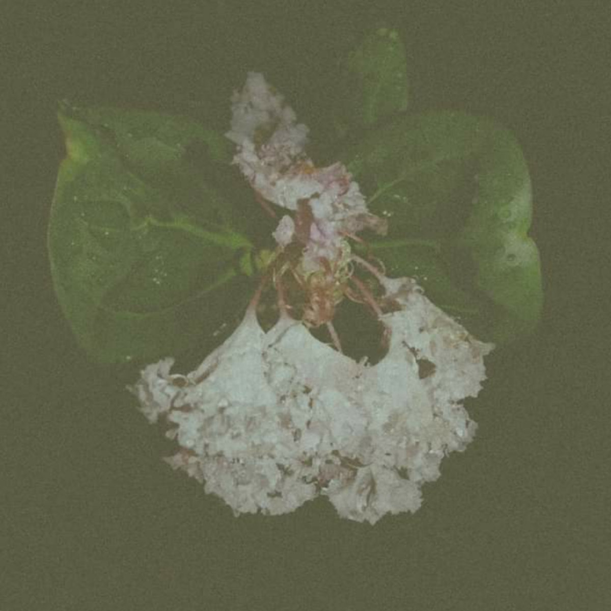 Remembering Distant Stars