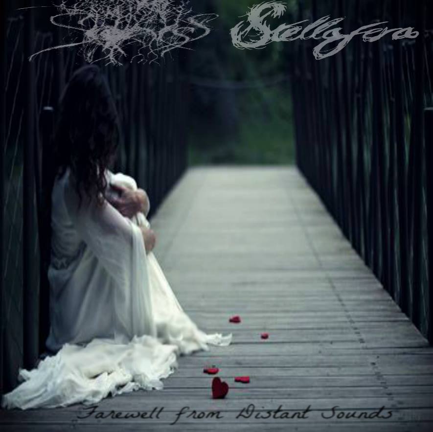 Farewell From Distant Sounds