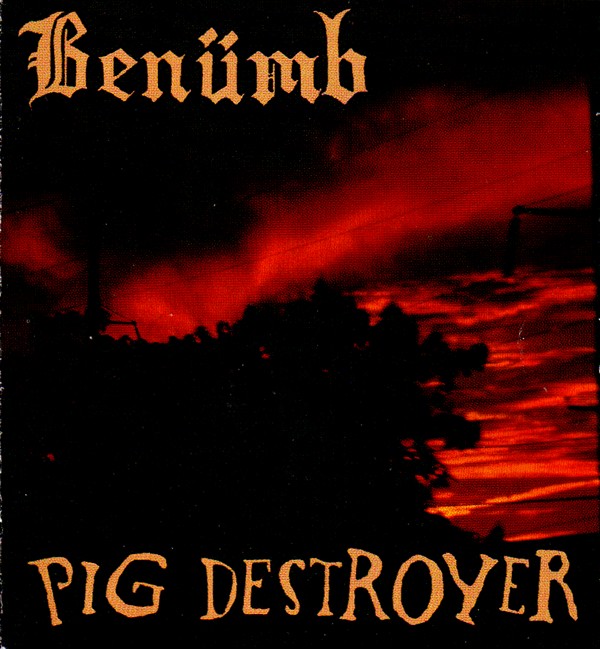 Benümb / Pig Destroyer