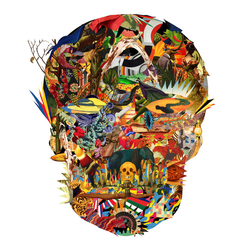 The Rebirth of Wonky