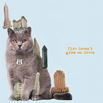 Fire Doesn’t Grow on Trees