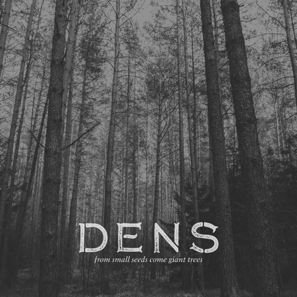 From Small Seeds Come Giant Trees