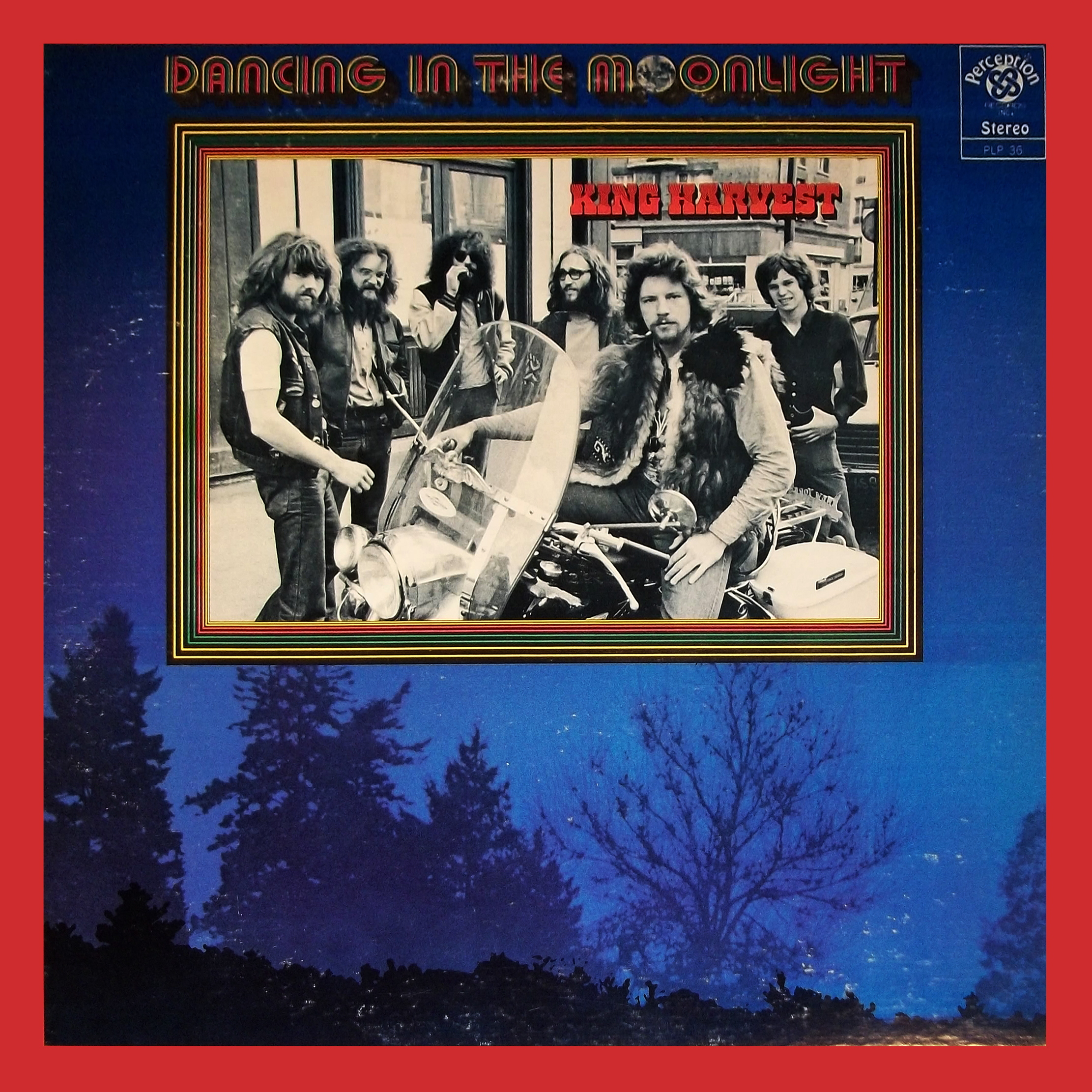 Dancing in the Moonlight