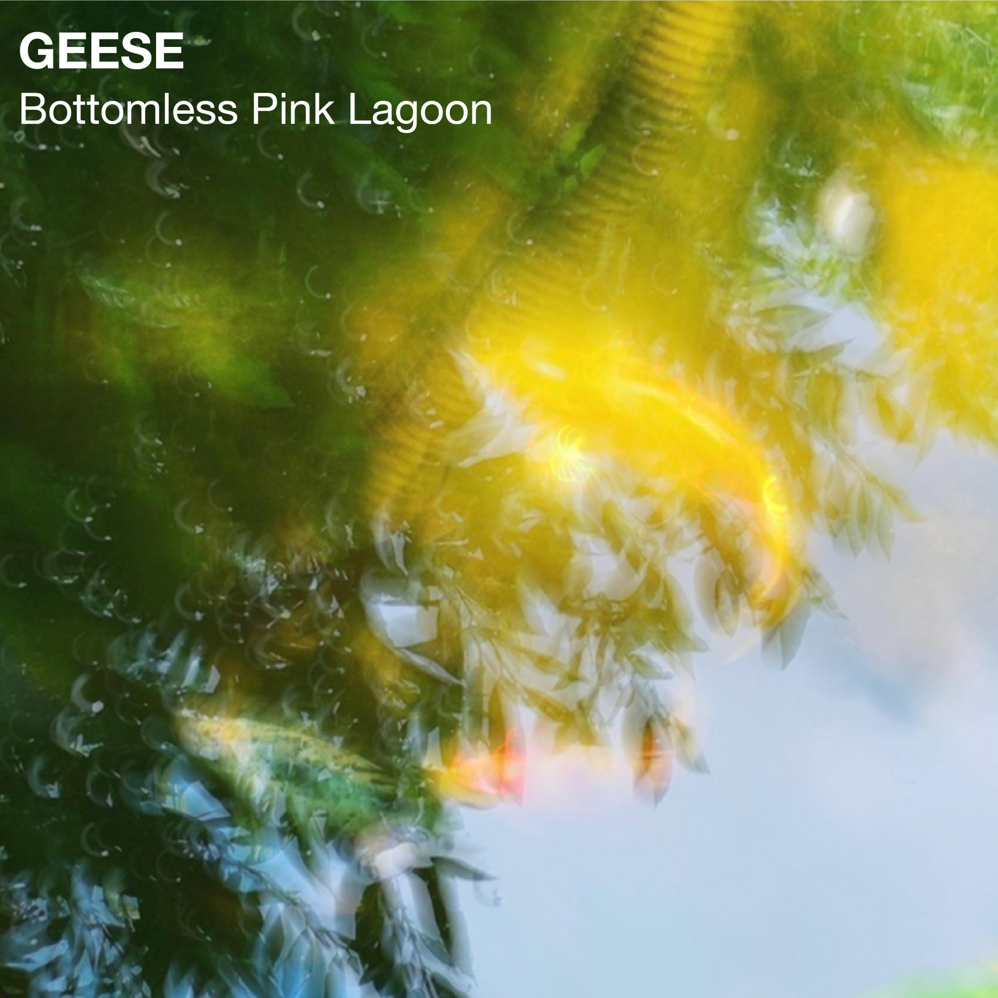 Bottomless Pink Lagoon