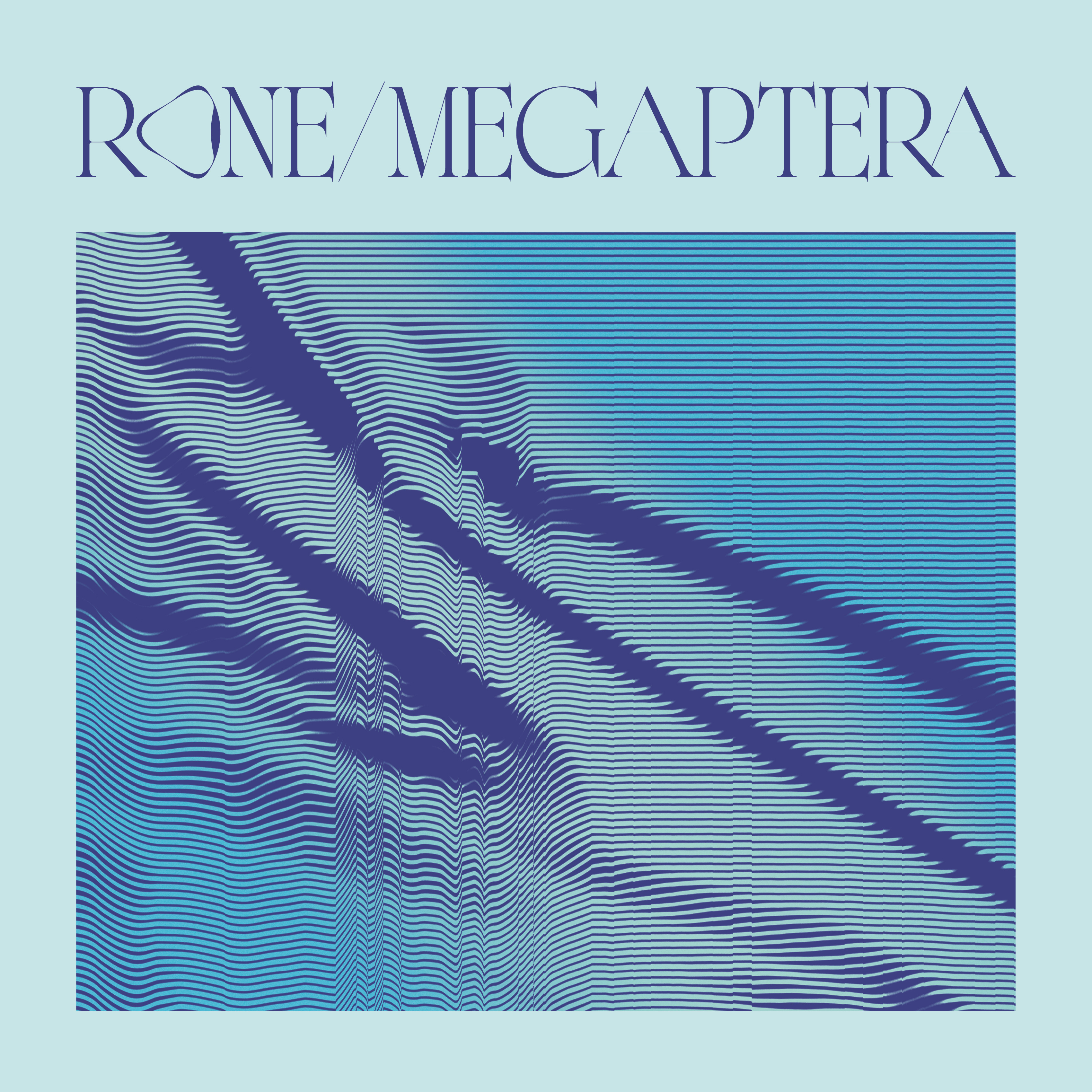 Megaptera