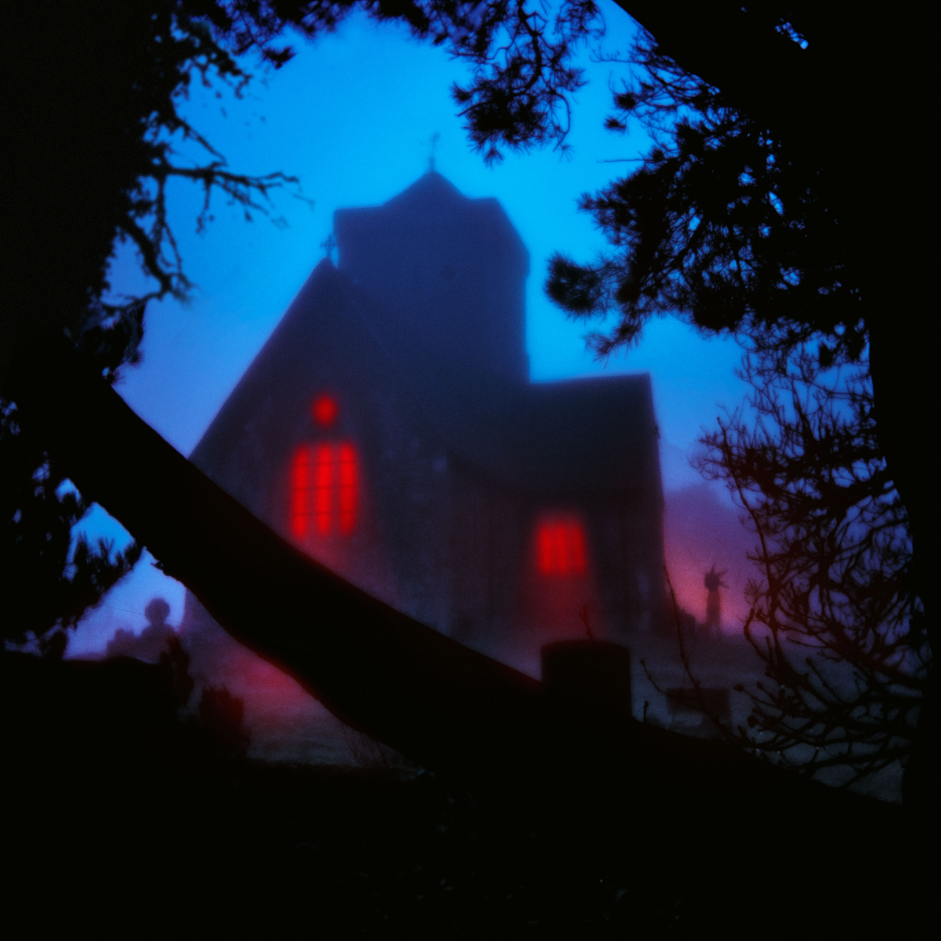 The Host