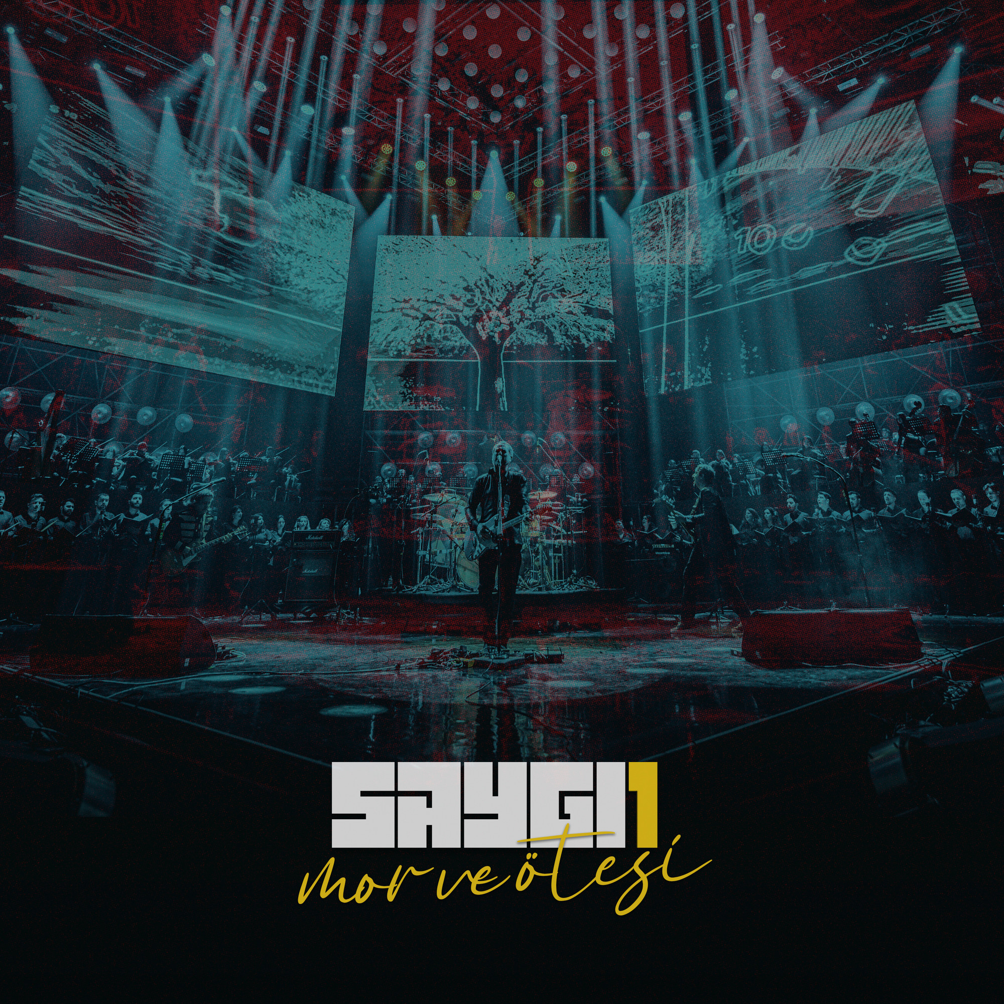 SAYGI1