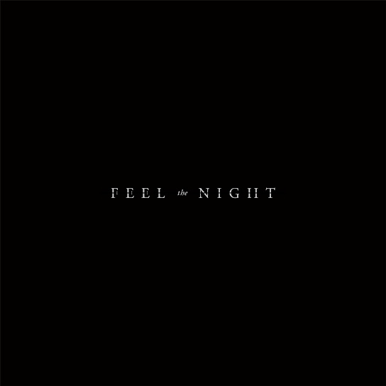 Feel the Night