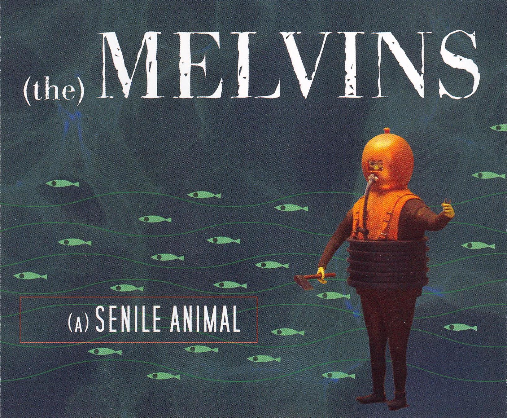 (A) Senile Animal