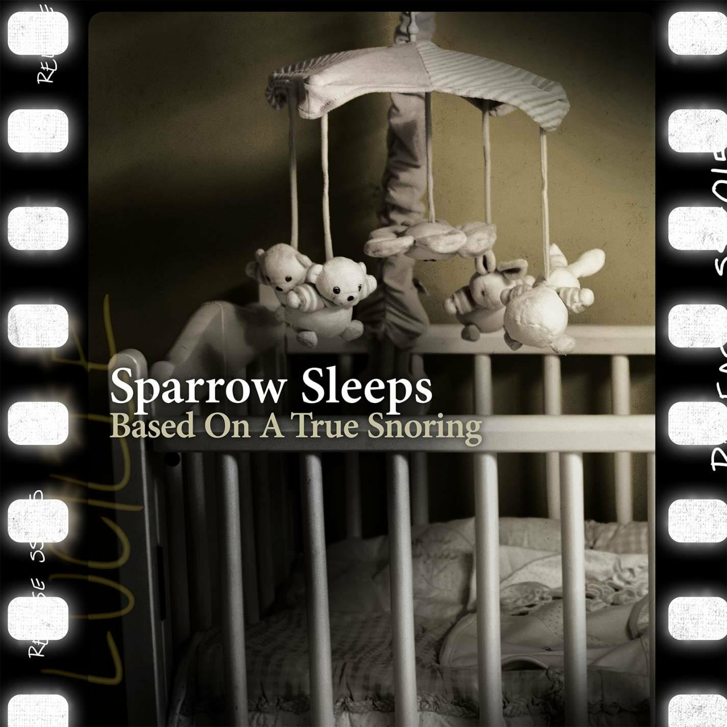 Based on a True Snoring: Lullaby Renditions of the Starting Line Songs