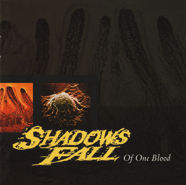Of One Blood