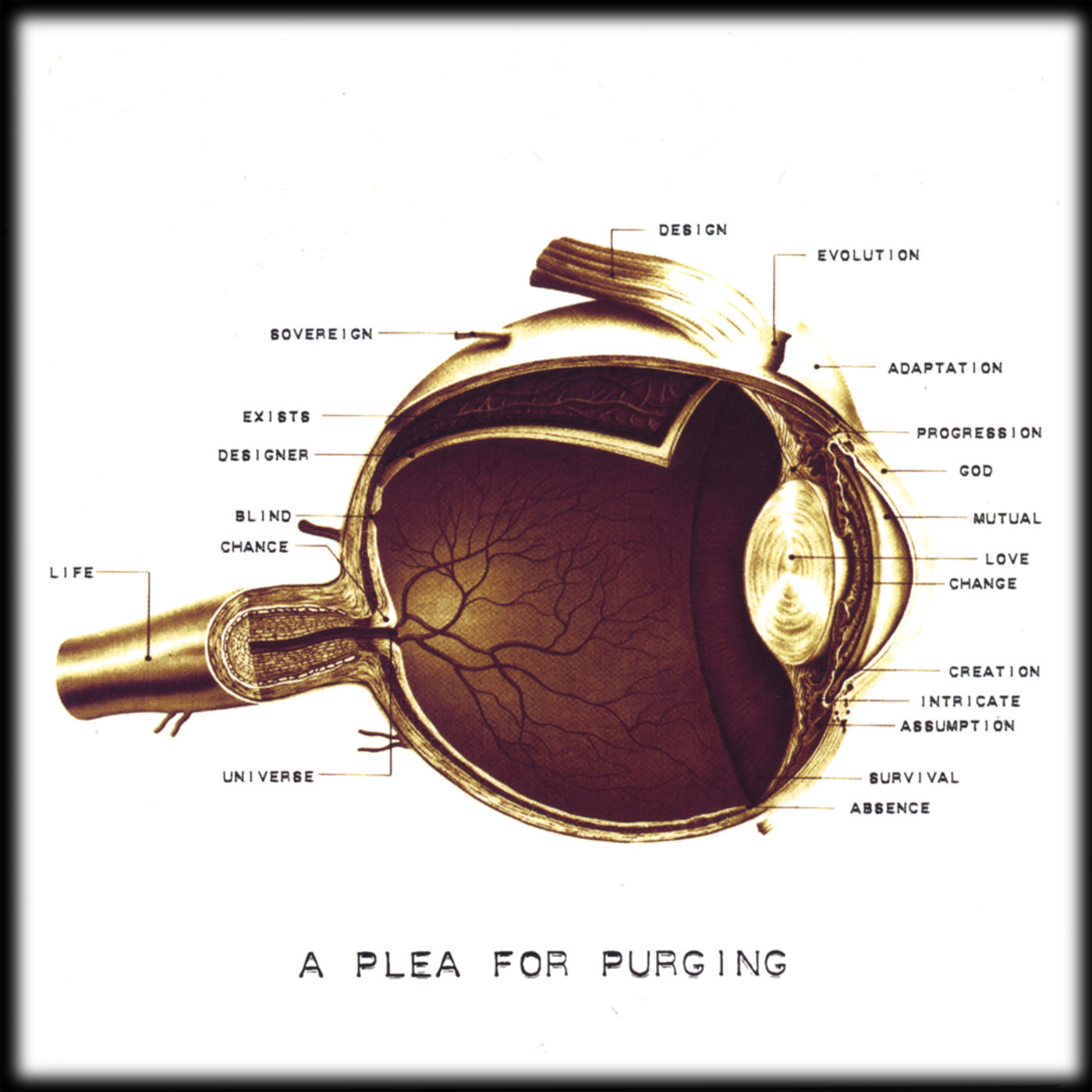 A Plea for Purging EP