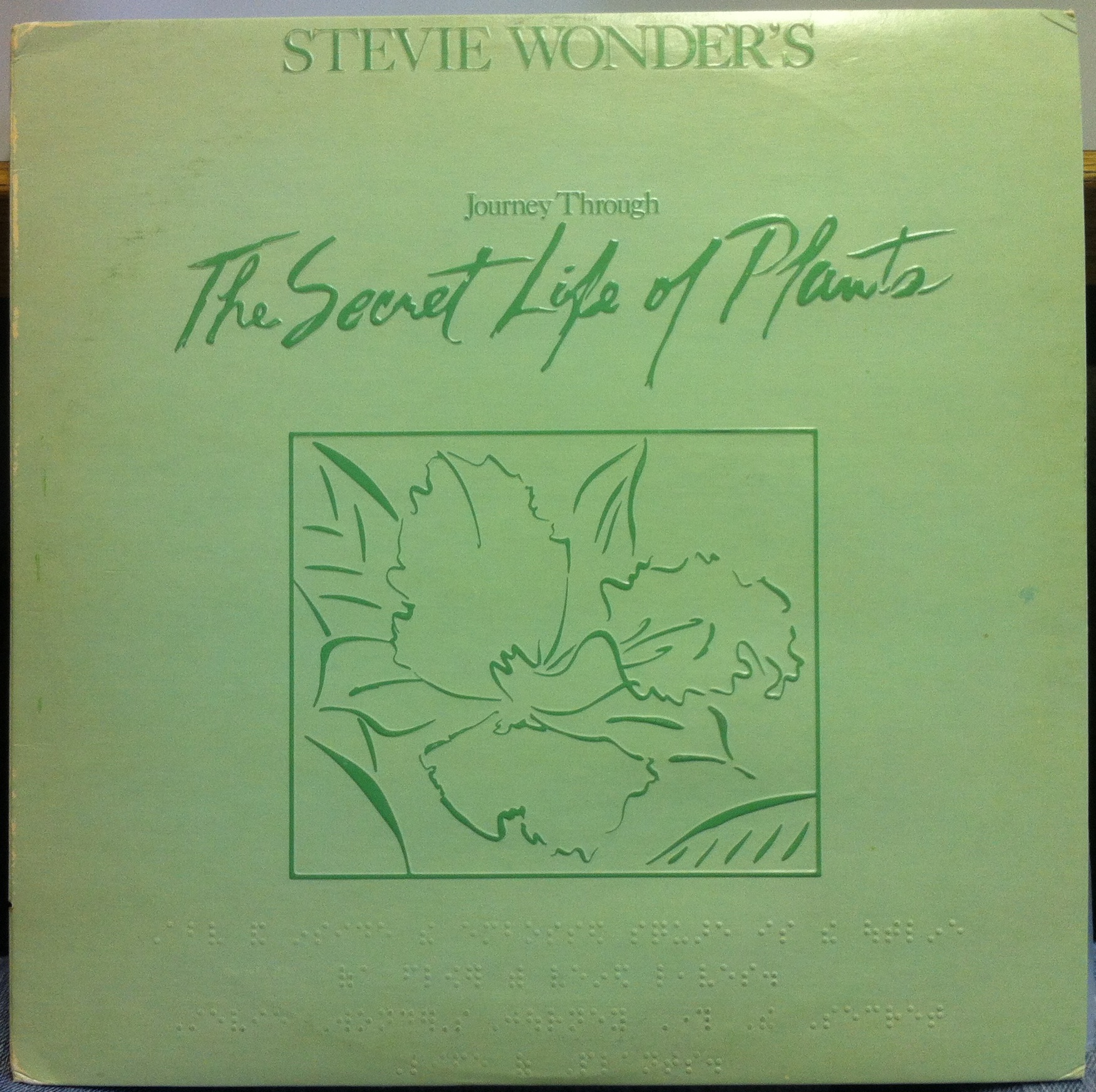 Stevie Wonder’s Journey Through the Secret Life of Plants