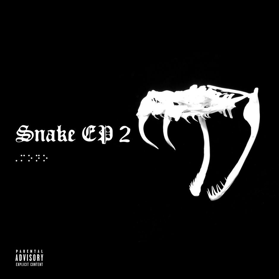 Snake 2