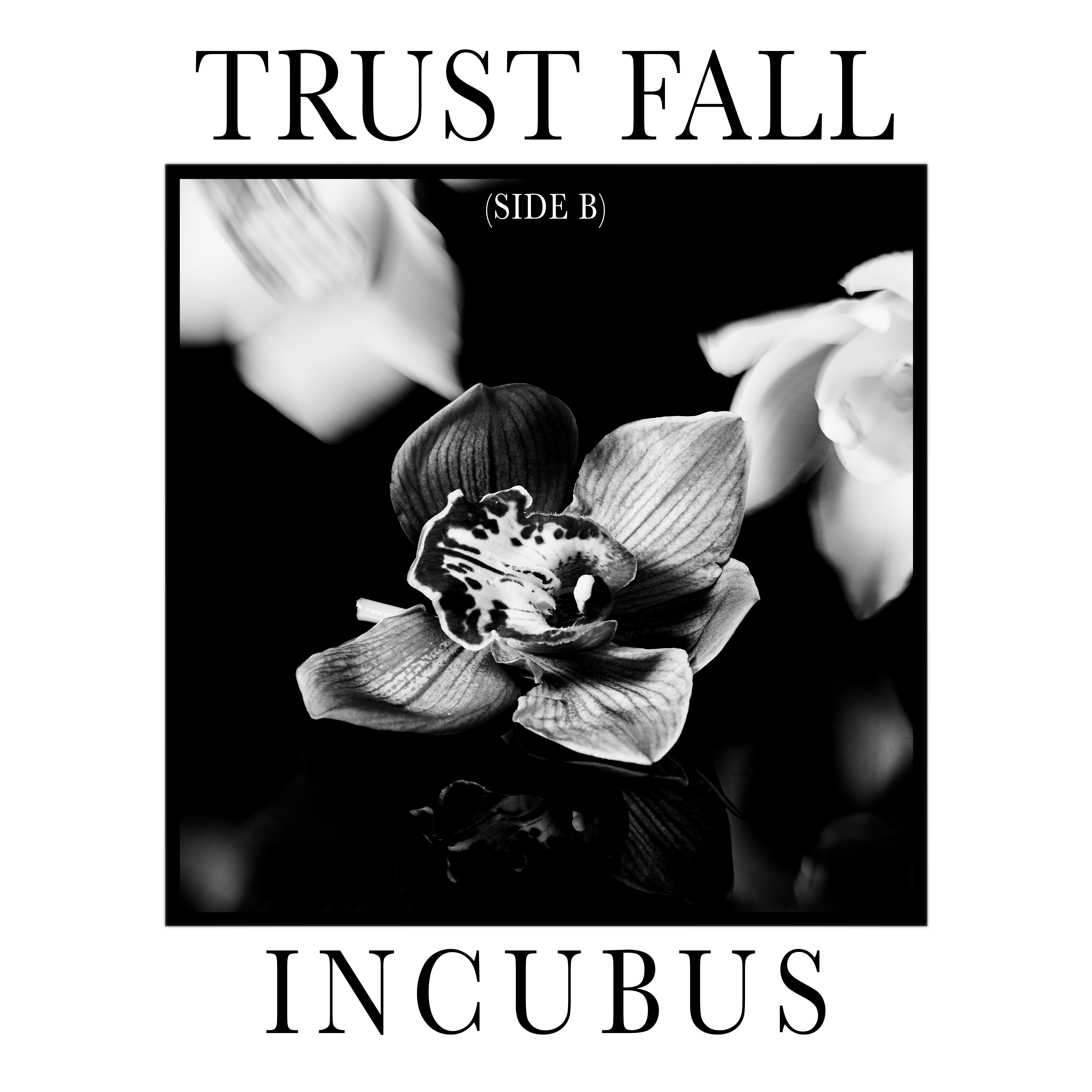 Trust Fall (side B)
