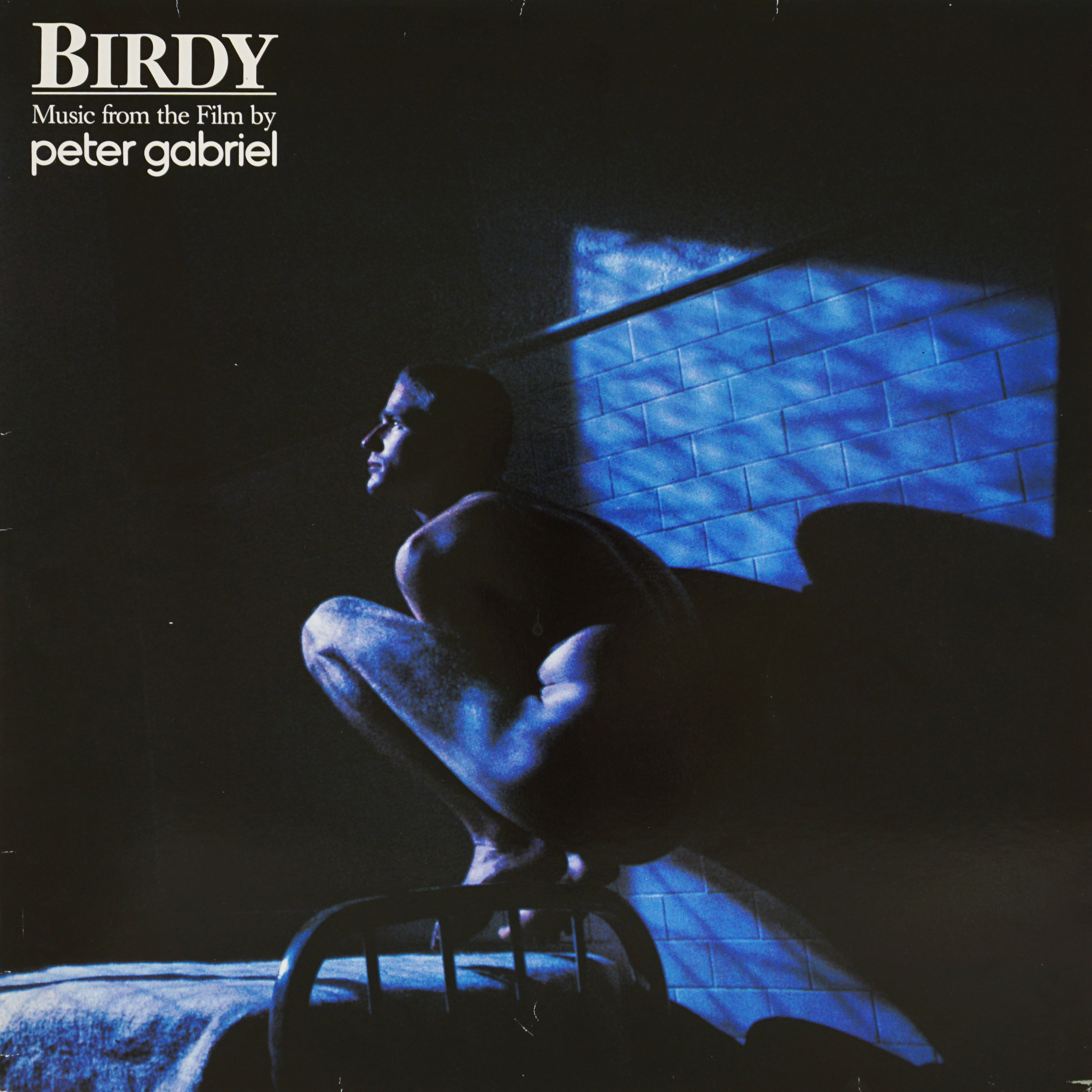 Birdy: Music From the Film