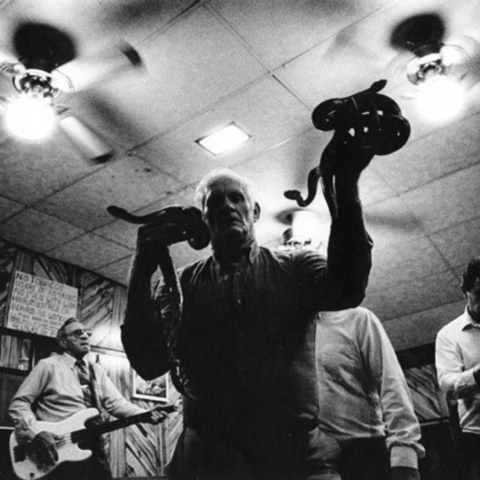 Snake Rattle and Roll