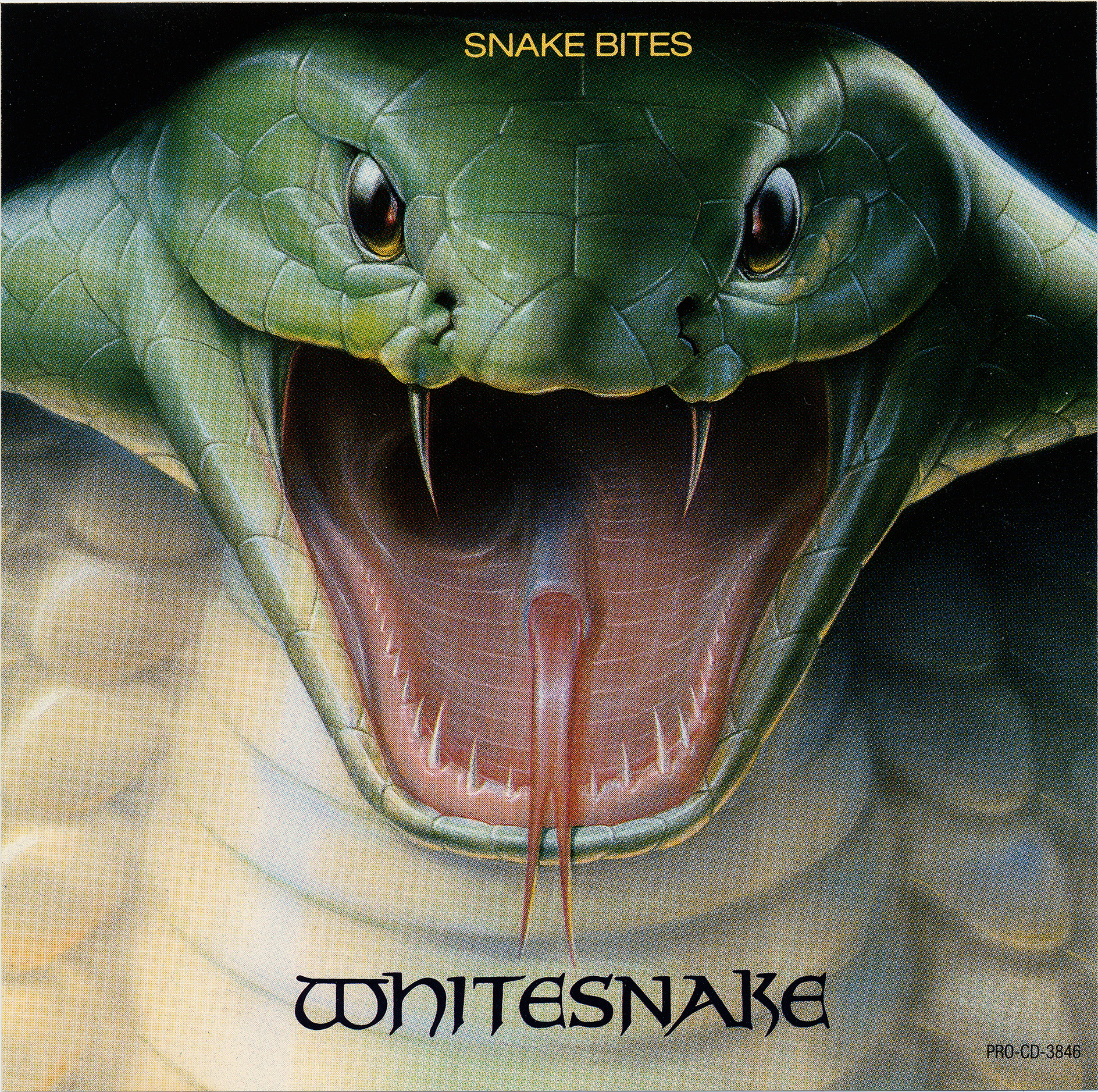 Snake Bites