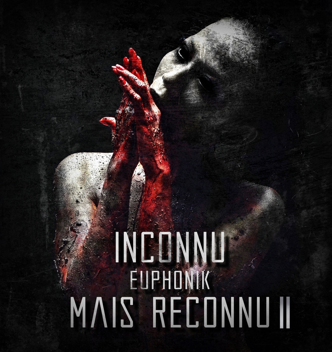 INCONNU MAIS RECONNU II