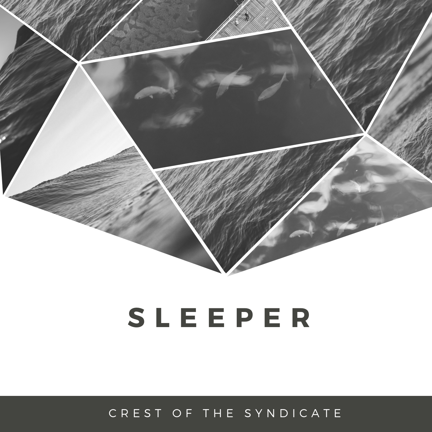 Sleeper