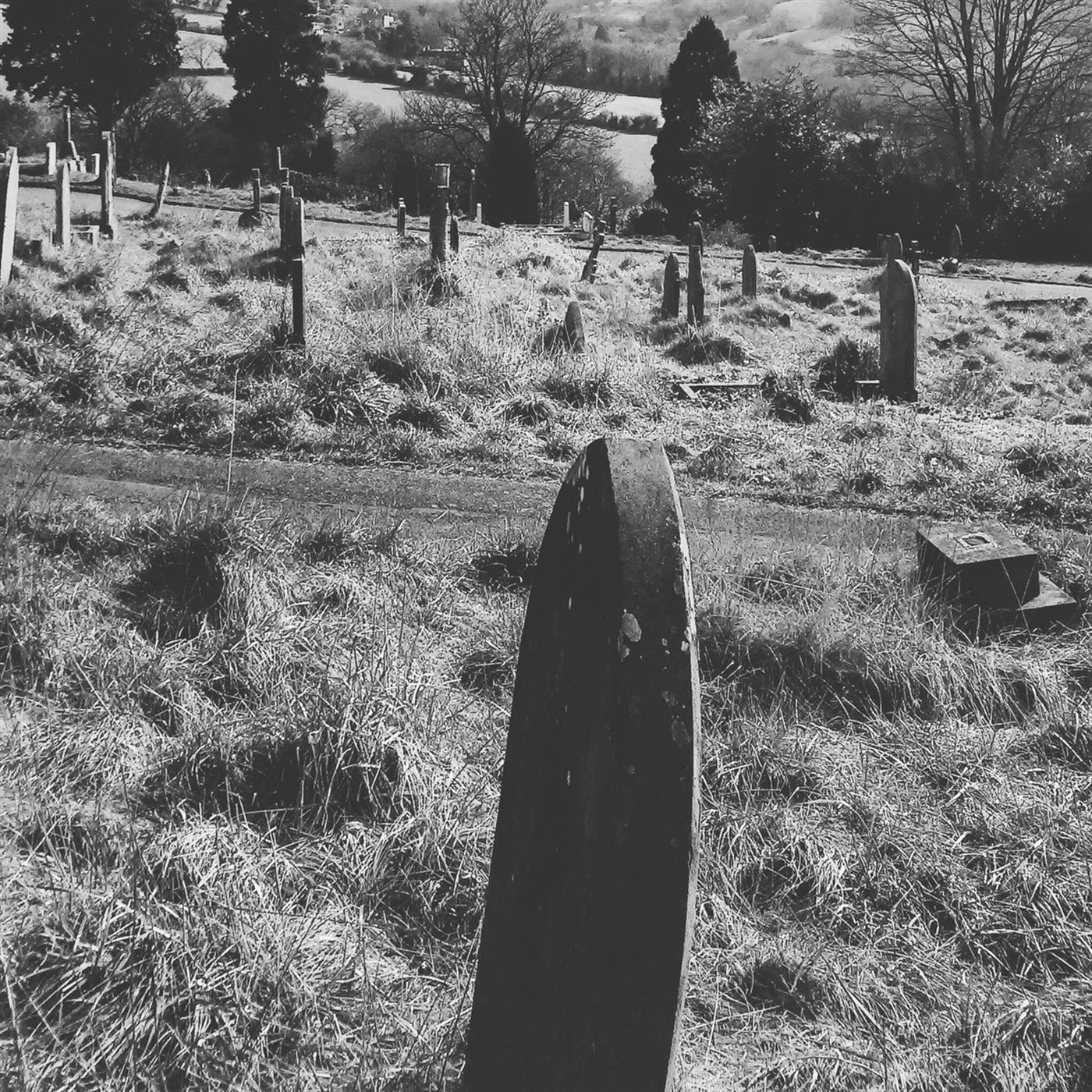Grave Analysis