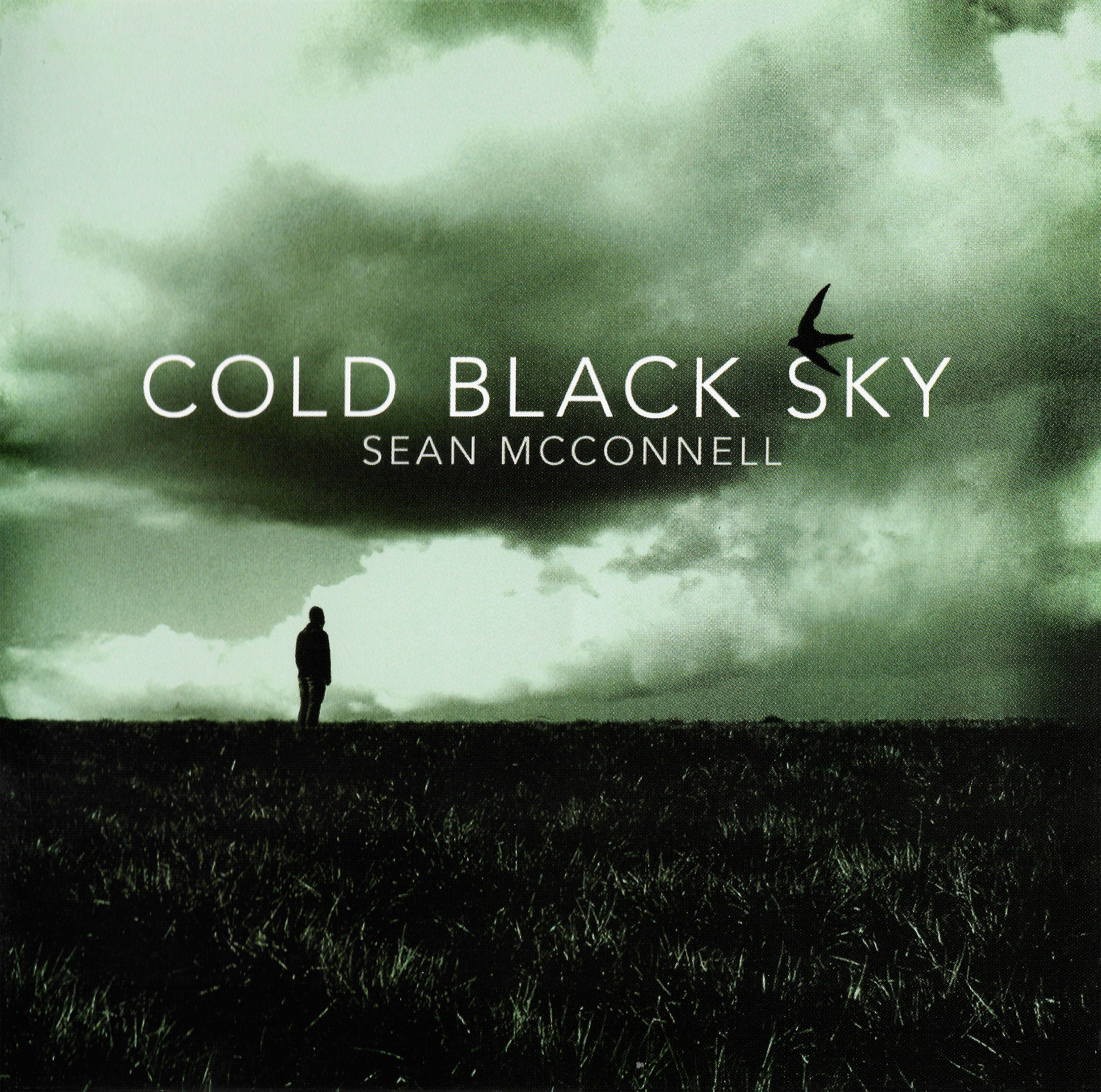 Cold Black Sky