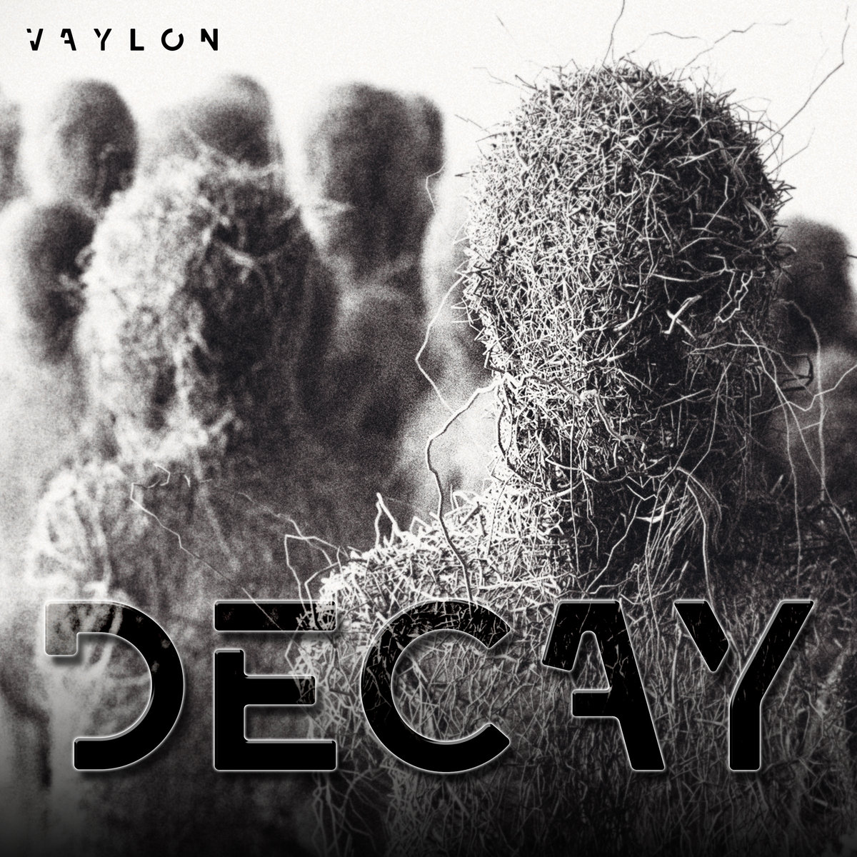 Decay (Remixed)