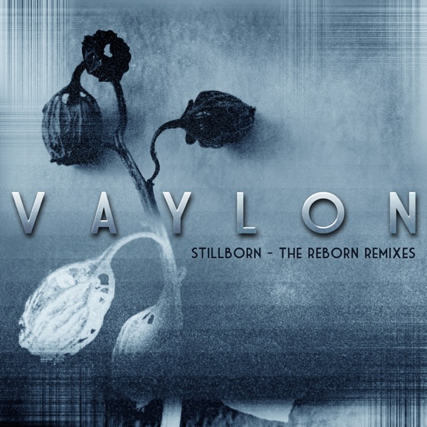 Stillborn - The Reborn Remixes